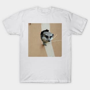 Meerkat 071 T-Shirt